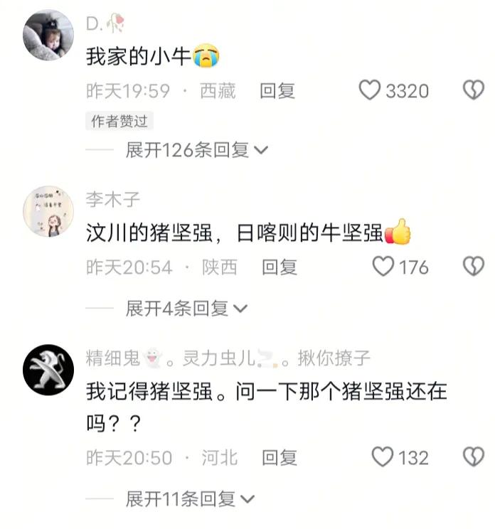 消防員救出被埋5天“牛堅強”